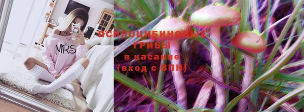 МДПВ Армянск